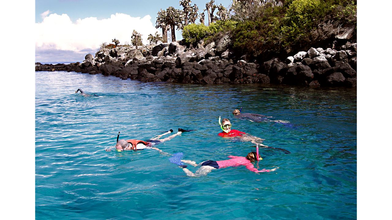 Unforgettable Galapagos: Premium Expedition By Cruise - 5 Days foto 3