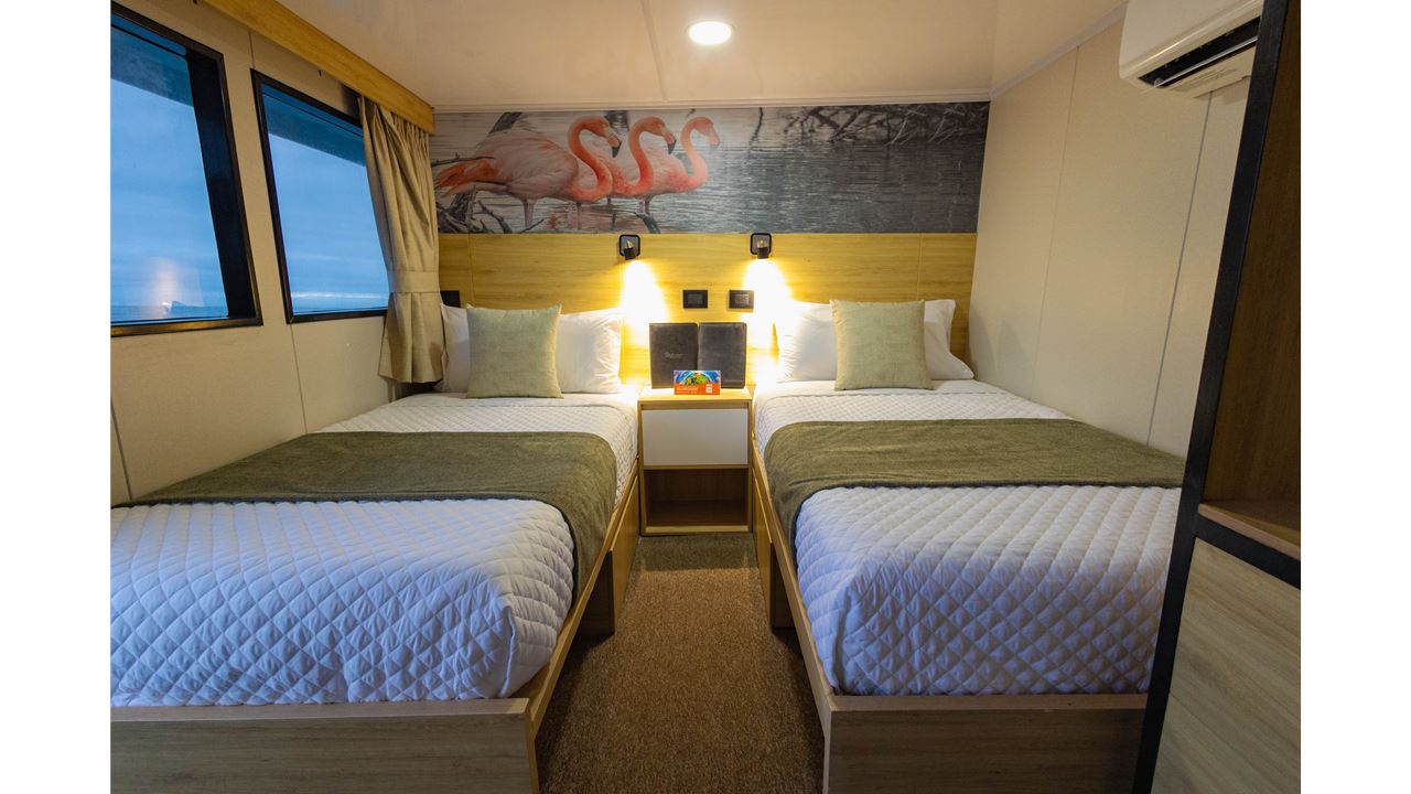 Classic Wild Galapagos Cruise 5d/4n foto 13