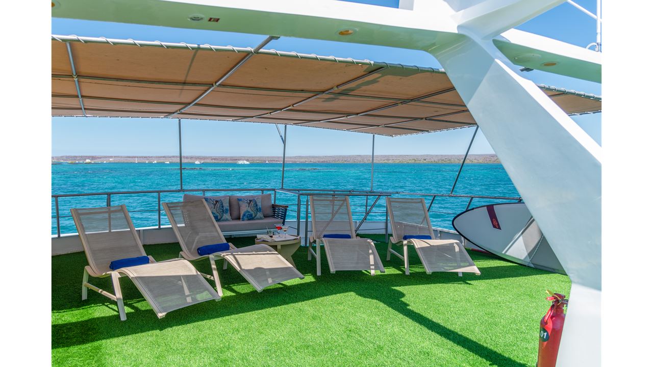 Classic Wild Galapagos Cruise 5d/4n foto 11