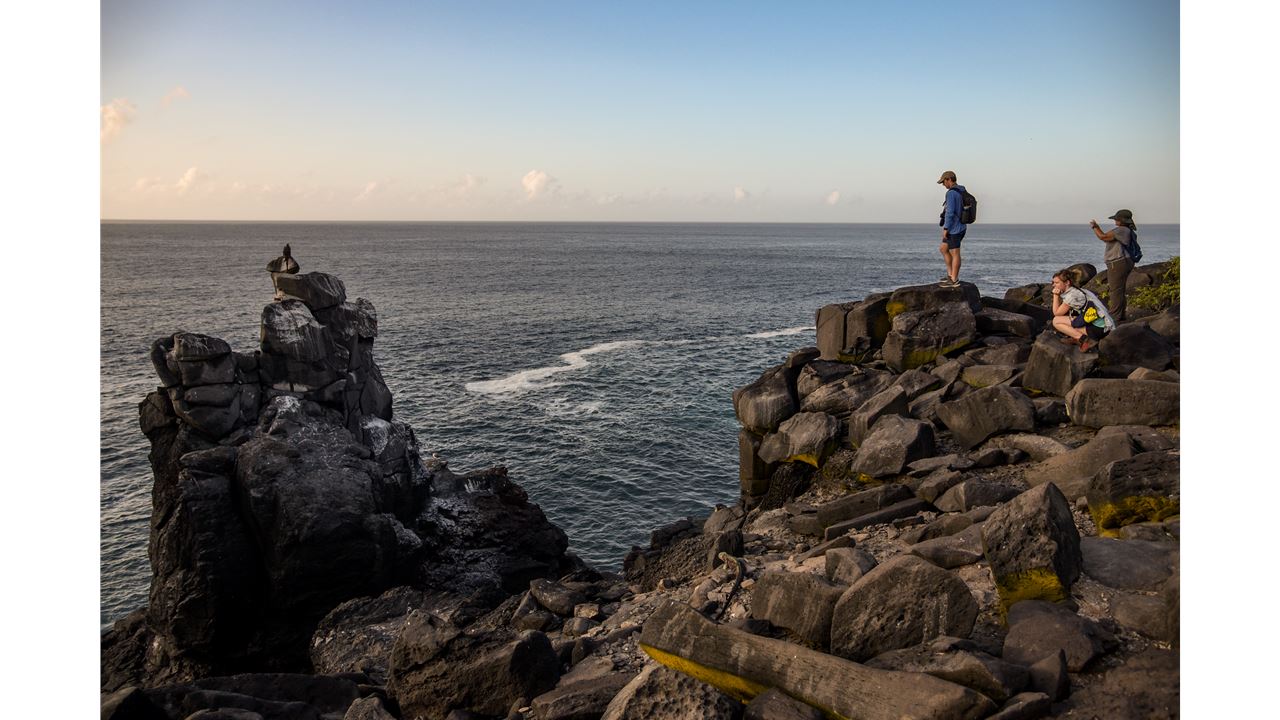 Classic Wild Galapagos Cruise 5d/4n foto 1