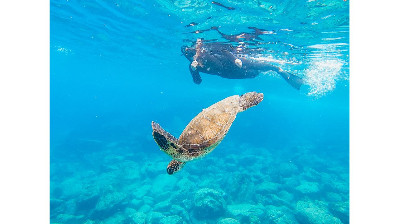 Classic Wild Galapagos Cruise 5d/4n foto 8