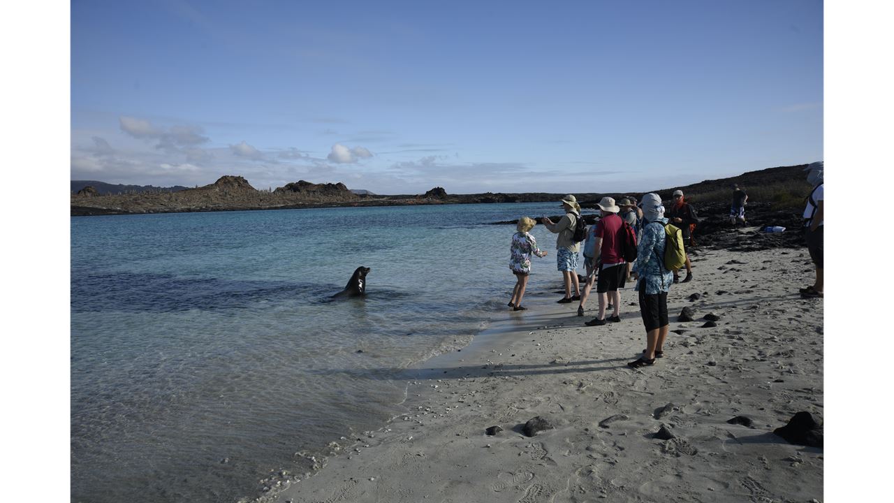 Crucero De Lujo Galápagos 6 Días – Bartolomé Y Genovesa foto 5
