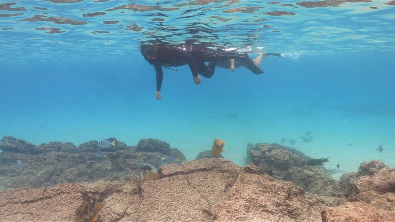 Crucero De Lujo Galápagos 6 Días – Bartolomé Y Genovesa foto 6