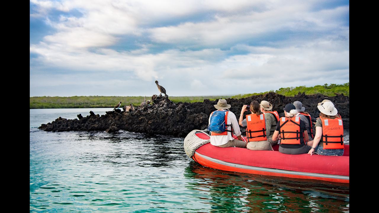 Great Galapagos Expedition: 8 Days Of Wildlife And Nature foto 3