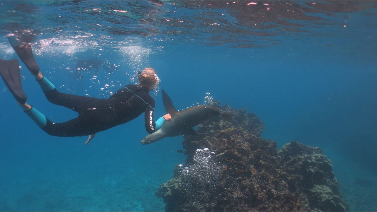 Great Galapagos Expedition: 8 Days Of Wildlife And Nature foto 2