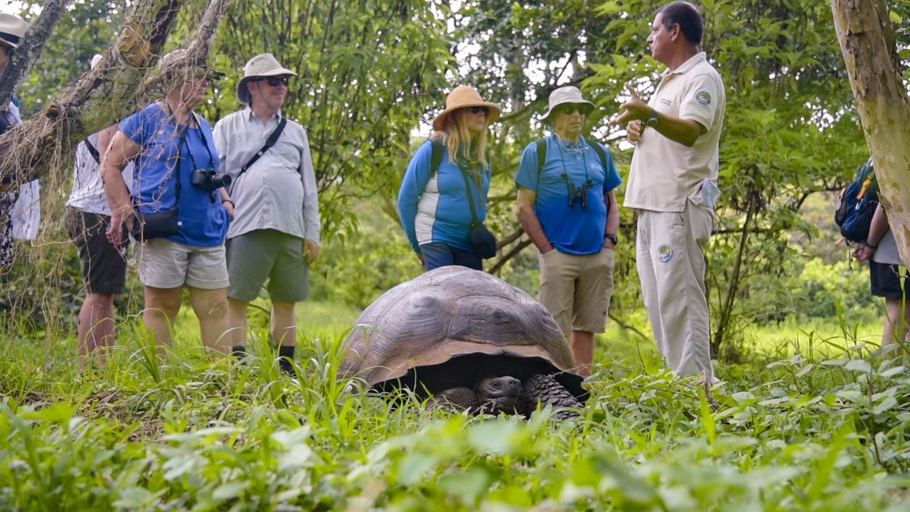 Great Galapagos Expedition: 8 Days Of Wildlife And Nature foto 4