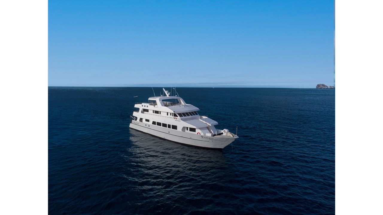Great Galapagos Expedition: 8 Days Of Wildlife And Nature foto 15