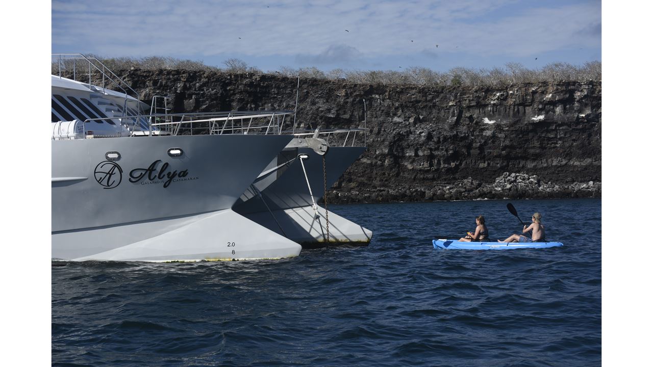 5-tägige Galapagos-kreuzfahrt – Bartolomé, Genovesa Tierwelt foto 1