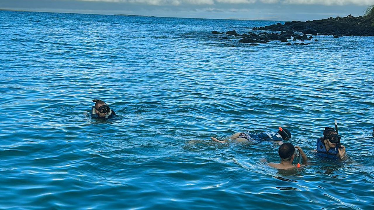 Buchtrundfahrt Mit Schnorcheln In Santa Cruz, Galapagos foto 5