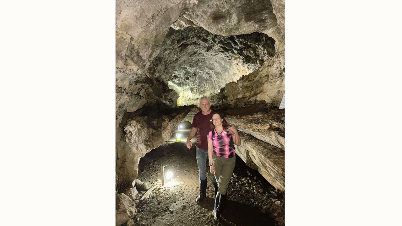 Oberes Santa Cruz: Riesenschildkröten, Lavatunnel Und Die Zwillinge foto 4