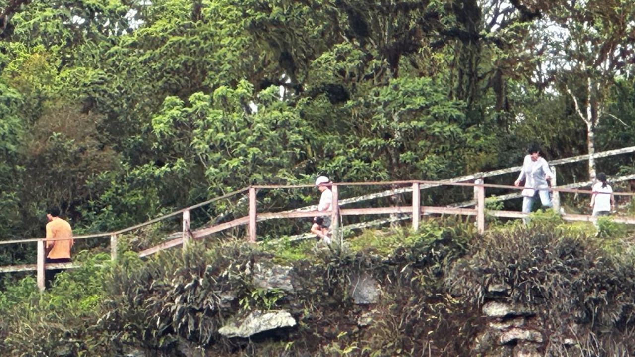 Oberes Santa Cruz: Riesenschildkröten, Lavatunnel Und Die Zwillinge foto 7