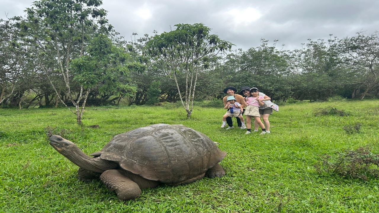 Oberes Santa Cruz: Riesenschildkröten, Lavatunnel Und Die Zwillinge foto 1