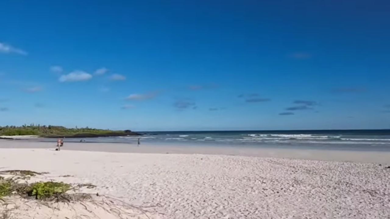 Caminata Panorámica A La Playa Tortuga Bay foto 7